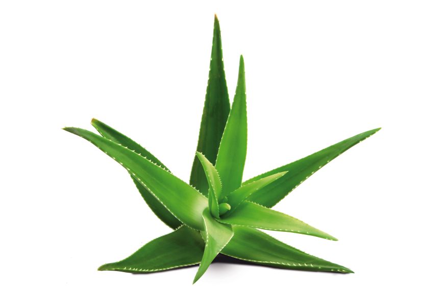 възглавница ALOE MASSAGE
